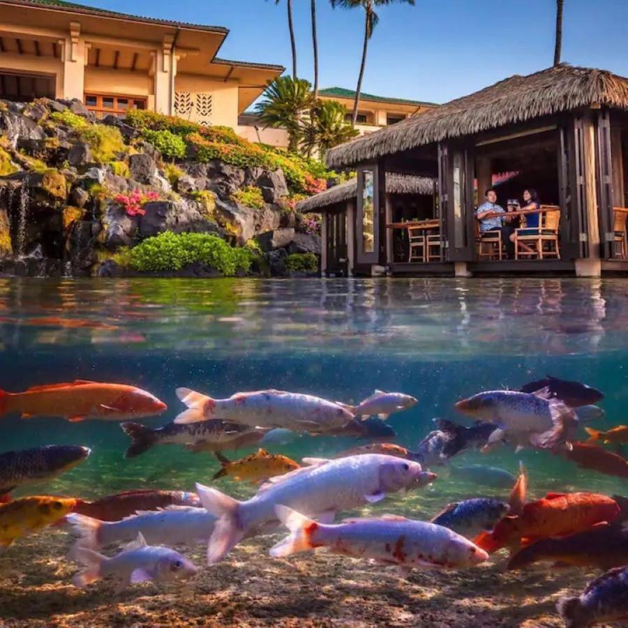 Quiet Kiahuna Plantation , New Remodel With Ac Koloa Екстер'єр фото
